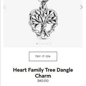 pandora charm!